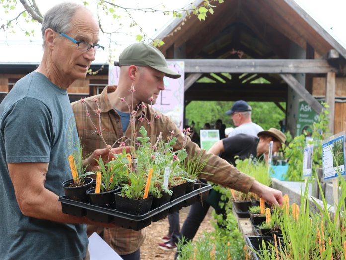 The Native Tree & Plant Nursery at GreenUP's Ecology Park carries more than 200 species of native trees, shrubs, and perennial plants. (Photo: Jessica Todd / GreenUP)