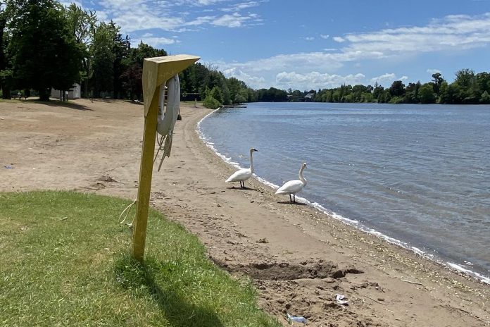 "Bike to a beach" is one of the Summer Ride Club challenges. The featured beach is at Beavermead Park, located off the Trans Canada trail. The beach's water is tested for E. Coli every business day by Peterborough Public Health and the beach features city lifeguards and nearby public restrooms. (Photo: Natalie Stephenson / GreenUP)