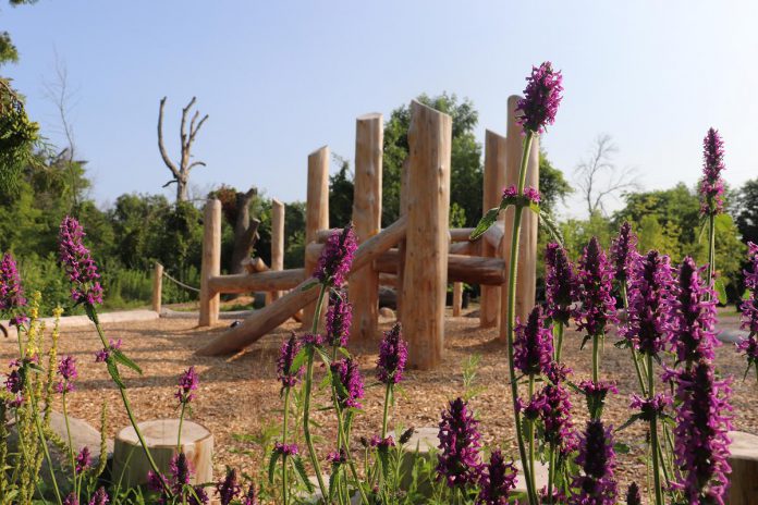 "Bike to a playground" is one of the Summer Ride Club challenges. The featured playground destination is the naturalized playscape at Ecology Park just beside Beavermead Park. (Photo: Jessica Todd / GreenUP)