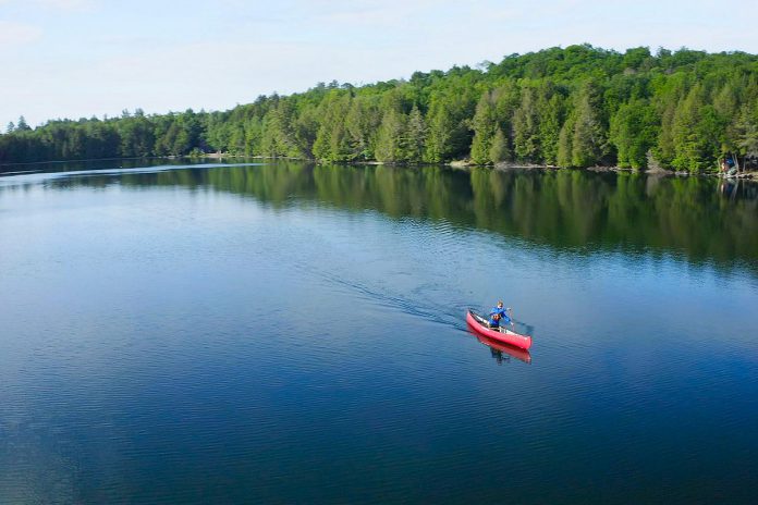 The Haliburton Highlands offers a range of paddling experiences across more than 500 lakes. With both no-portage and backcountry camping sites available, small and quiet lakes, and municipally maintained paddle-in sites, the region has an option for every canoeist, kayaker, and stand-up paddleboarder. (Photo courtesy of Haliburton Highlands Economic Development & Tourism)