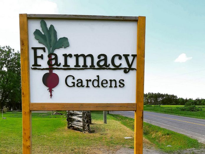 After being closed in 2023, South-Dummer's Farmacy Gardens is once again open and selling native plants, herbs, vegetable plants, shrubs, fruit trees, and flowering plants through a 100-year-old cabin on a five-acre farm. Second-generation florist Emily Del Mastro grew the business out of a love for gardening and plant life, and ensures sustainability with limited plastics, no chemicals or pesticides, and locally sourced products. (Photo courtesy of Farmacy Gardens)