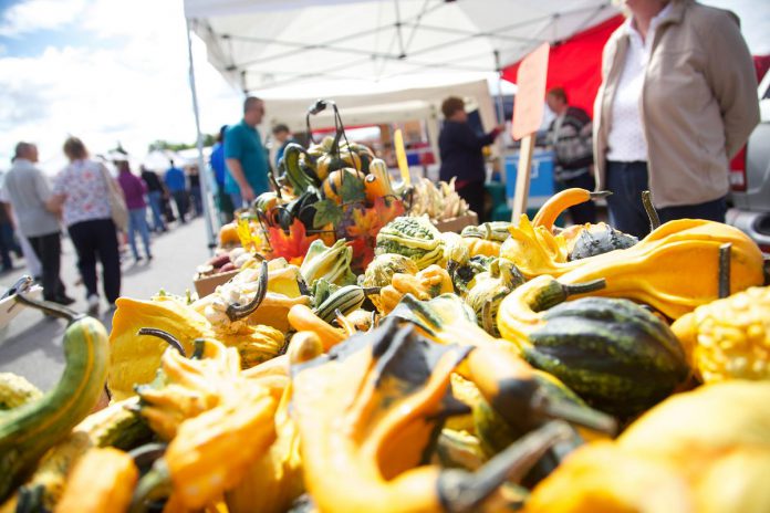 Local food producers and buyers have come together during the "Growing the Local Food Wholesale Market in the Kawartha Region" project led by Peterborough & the Kawarthas Economic Development and the City of Kawartha Lakes with funding from the Ontario government. Launched in 2023, the two-year project aims to expand local food consumption and develop more robust availability of locally produced food through group training, one-on-one coaching, and networking, with the goal of developing an efficient aggregation and distribution model through a wholesale local food hub. (Photo courtesy of Peterborough & the Kawarthas Economic Development)