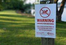 A notice from Peterborough Public Health that the water is unsafe for swimming at Roger's Cove in Peterborough on June 18, 2024. (Photo: Bruce Head / kawarthaNOW)