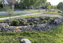 Peterborough resident Sheila Holliday inherited this rain garden with her home and is delighted to watch as it fills with rain. (Photo: Sheila Holliday)