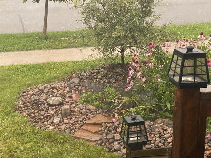 Peterborough resident Sheila Holliday captured her rain garden in action! In this photograph you can the bowl has filled and the outlet is draining stormwater away from her home during a heavy rain event. (Photo: Sheila Holliday)