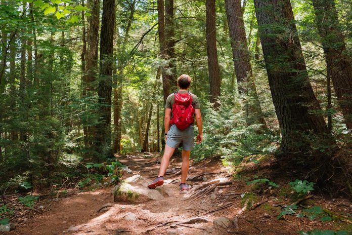 Day use of Ontario's provincial parks is free on July 19, 2024 in recognition of Healthy Parks Healthy People Day, part of a global movement that reinforces and encourages the connections between a healthy environment and a healthy society. (Photo: Ontario Parks)