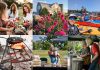 Six local entrepreneurs recently received support from Peterborough & the Kawarthas Economic Development to bring their innovative tourism business ideas to market. Pictured are (left to right, top and bottom) Sanctuary Flower Fields, Heritage Blooms UPick, Lovesick Kayaking, N2Adventures, muttmix, and Rice Lake Arts. (Photos: Mary Zita Payne, Claudia MacDonald, Alex Grant, Nikki Nelson, Amy Deroche, Claire Foran)