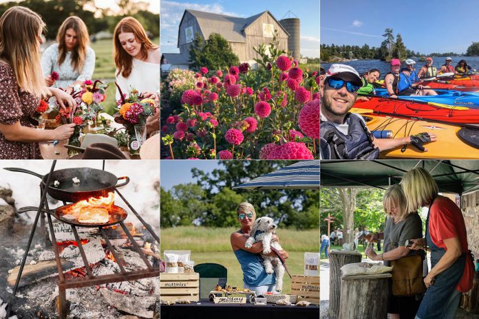 Six local entrepreneurs recently received support from Peterborough & the Kawarthas Economic Development to bring their innovative tourism business ideas to market. Pictured are (left to right, top and bottom) Sanctuary Flower Fields, Heritage Blooms UPick, Lovesick Kayaking, N2Adventures, muttmix, and Rice Lake Arts. (Photos: Mary Zita Payne, Claudia MacDonald, Alex Grant, Nikki Nelson, Amy Deroche, Claire Foran)