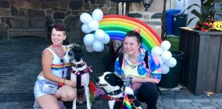 Kawartha Lakes Pride is celebrating Pride Week with a host of activities in the Kawartha Lakes from July 8 to 14, 2024, including the popular "Pooch Pride" walk hosted by Adelaide Clinic in Lindsay with prizes for the best-dressed pooch and human. (Photo: Adelaide Clinic / Facebook)