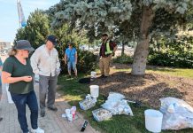 Clean Up Peterborough's event on July 14, 2024 saw 18 volunteers collect six bags of litter and recyclables and pick up 5,185 cigarette butts in Millennium Park, Del Crary Park, and a large section of the Little Lake shoreline in Peterborough. (Photo: Steve Paul)