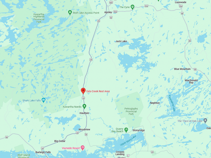 Highway 28 is down to a single lane controlled by traffic lights at the Eels Creek Rest Area about halfway between Burleigh Falls and Apsley, where a bridge over Eels Creek on the provincial highway is being reconstructed. Replacement of the bridge began in June 2024 and is scheduled to be completed in August 2025, with a winter shutdown of operations between December and May before construction resumes in June 2025. (Map: Google Maps)