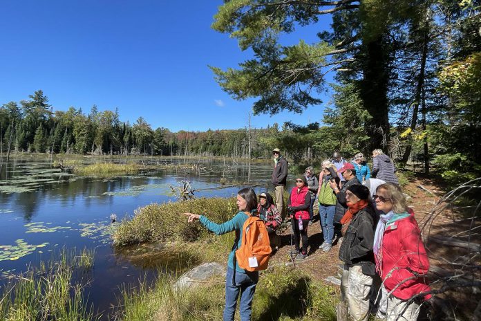 With guided hikes led by local and passionate volunteers, the annual Hike Haliburton Festival is one-of-a-kind in Ontario. With paid excursions from local tour companies and guided and self-guided hikes across the Haliburton Highlands, the festival returns from September 19 to 22, 2024. (Photo courtesy of Hike Haliburton)