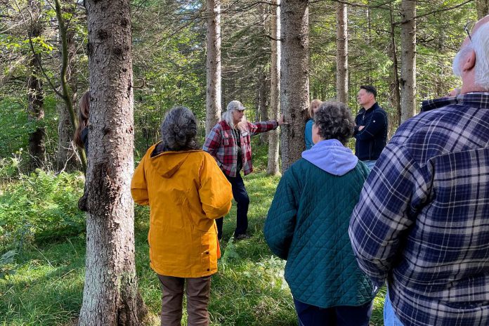 With hikes led by local and knowledgeable educators, the Hike Haliburton Festival gives visitors and locals the opportunity to learn all about the topography, wildlife, geography, and history of the Haliburton Highlands. (Photo courtesy of Hike Haliburton)