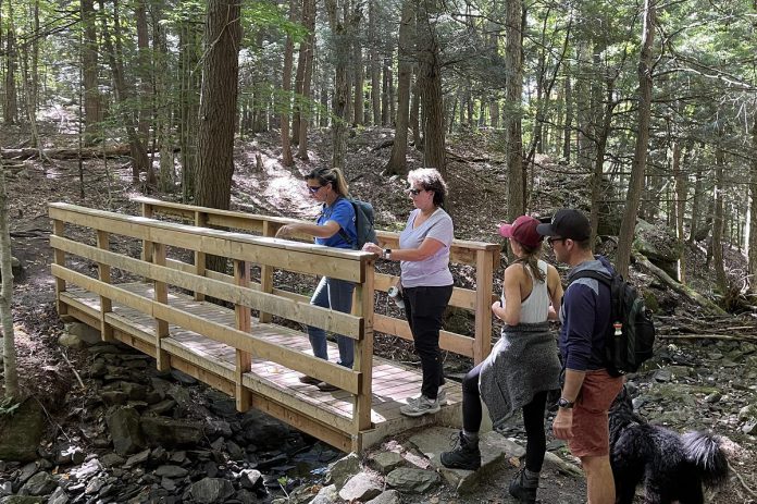 Whether they are looking for accessible, family-friendly hikes or full-day excursions, Hike Haliburton lets hikers curate their own adventures during the Hike Haliburton Festival, held from September 19 to 22, 2024. (Photo courtesy of Hike Haliburton)