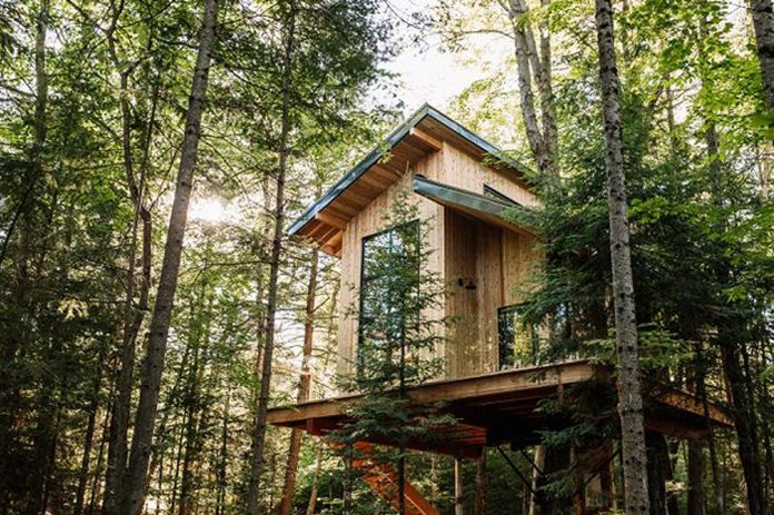 There are lots of places to stay while you are visiting the Haliburton Highlands during the Hike Haliburton Festival from September 19 to 22, 2024, from budget motels to boutique lodges to tiny cabins to glamping. One of the most unique options is "The Baltic," an off-grid treehouse in Minden Hills built using as many sustainable and natural materials as possible. (Photo: Fort Treehouse Co.)