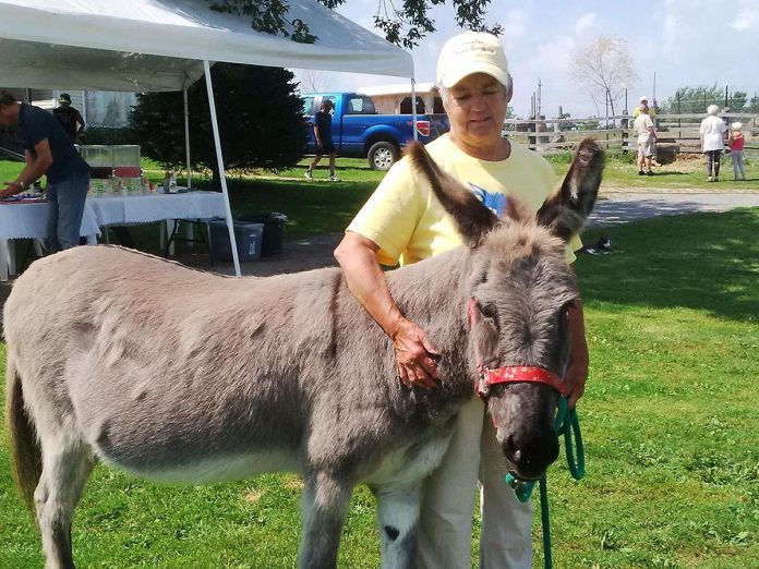 Roseneath's PrimRose Donkey Sanctuary owner Sheila Burns with PrimRose, the first donkey she adopted and the one who inspired her to start the sanctuary. On August 25, 2024, PrimRose Donkey Sanctuary will be celebrating the 50th birthday of the sanctuary's namesake, who passed away in 2021. The party will include lemonade, iced tea, cake for the guests, and a special cake for the animals. (Photo courtesy of PrimRose Donkey Sanctuary)