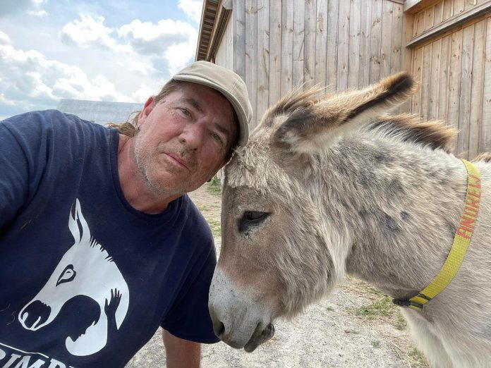 Mike Quigg with Andrew the donkey at PrimRose Donkey Sanctuary. Not only has Mike volunteered with the sanctuary for the past year, but he and his wife Christine sponsor Andrew who, at 48 years old, is the oldest donkey at the sanctuary. PrimRose Donkey Sanctuary is always looking for volunteers, and you can also sign up to sponsor a donkey for a year. Sponsors can visit and groom their donkey and receive regular photos and updates from the sanctuary's owner Sheila Burns. (Photo courtesy of Mike Quigg)