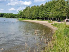 Selwyn Beach Conservation Area is located on the northeast shore of Chemong Lake. It is best known for its excellent swimming with a gently sloping sandy beach. Parents and caregivers are advised that the beach and swimming area are not supervised. (Photo: Otonabee Conservation)