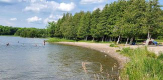 Selwyn Beach Conservation Area is located on the northeast shore of Chemong Lake. It is best known for its excellent swimming with a gently sloping sandy beach. Parents and caregivers are advised that the beach and swimming area are not supervised. (Photo: Otonabee Conservation)