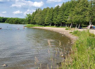 The Beach Report for July 24 to 30, 2026 Selwyn Beach Conservation Area is located on the northeast shore of Chemong Lake. It is best known for its excellent swimming with a gently sloping sandy beach. Parents and caregivers are advised that the beach and swimming area are not supervised. (Photo: Otonabee Conservation)