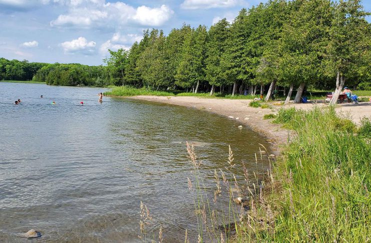 The Beach Report for July 24 to 30, 2026 Selwyn Beach Conservation Area is located on the northeast shore of Chemong Lake. It is best known for its excellent swimming with a gently sloping sandy beach. Parents and caregivers are advised that the beach and swimming area are not supervised. (Photo: Otonabee Conservation)
