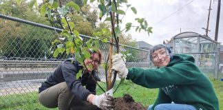 Community volunteers plant a fruit tree at the Reid and McDonnel Community Orchard. The GreenUP Peterborough Community Orchard Stewards care for 65 fruit trees in seven public spaces throughout the City of Peterborough. (Photo: GreenUP)