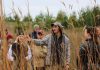 Kawartha Land Trust's land stewardship manager Hayden Wilson showing volunteers how to identify native tallgrasses and collect seeds at the tallgrass prairie at KLT's Ballyduff Trails in Pontypool in 2022. The 2024 annual tallgrass and wildflower seed harvest takes place on Sunday, October 6 and volunteers are invited to participate. (Photo: Dani Couture / Kawartha Land Trust)