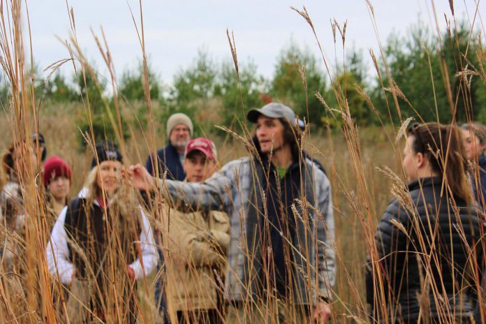 Kawartha Land Trust's land stewardship manager Hayden Wilson showing volunteers how to identify native tallgrasses and collect seeds at the tallgrass prairie at KLT's Ballyduff Trails in Pontypool in 2022. The 2024 annual tallgrass and wildflower seed harvest takes place on Sunday, October 6 and volunteers are invited to participate. (Photo: Dani Couture / Kawartha Land Trust)