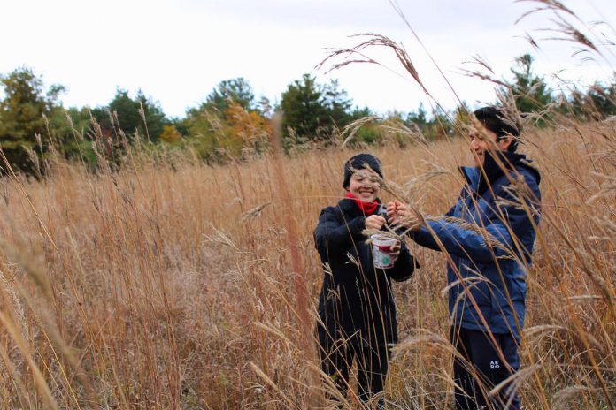 In 2022, Kawartha Land Trust partnered with New Canadians Centre Peterborough to hold a tallgrass seed gathering event at Ballyduff Trails in Pontypool. The 2024 annual tallgrass and wildflower seed harvest takes place on Sunday, October 6 and volunteers are invited to participate. (Photo: Dani Couture / Kawartha Land Trust)