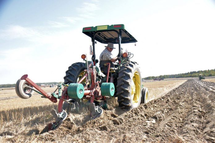 Tickets are now on sale for the 105th annual International Plowing Match and Rural Expo (IPM), to be held in Kawartha Lakes from October 1 to 5, 2024 at the Lindsay Exhibition Fairgrounds. The largest event of its kind in North America, the five-day event is a celebration of agriculture and rural living with plowing competitions, demonstrations, a rodeo, an exhibitor showcase, local food, nonstop live music, entertainment and more. (Photo courtesy of IPM)