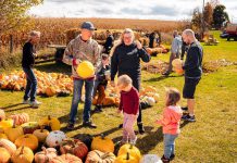 Pumpkin picking at the patch at McQuaid's Country Market in Omemee is one of many family-fun activities happening at farms throughout Kawartha Lakes during the 22nd annual Kawartha Farmfest on October 12, 2024. The self-guided tour will take participants to explore agricultural attractions across the region to engage in festive activities, take home local produce and meats, and learn about life on the farm. (Photo: Evan Aube Photography)