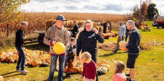 Pumpkin picking at the patch at McQuaid's Country Market in Omemee is one of many family-fun activities happening at farms throughout Kawartha Lakes during the 22nd annual Kawartha Farmfest on October 12, 2024. The self-guided tour will take participants to explore agricultural attractions across the region to engage in festive activities, take home local produce and meats, and learn about life on the farm. (Photo: Evan Aube Photography)