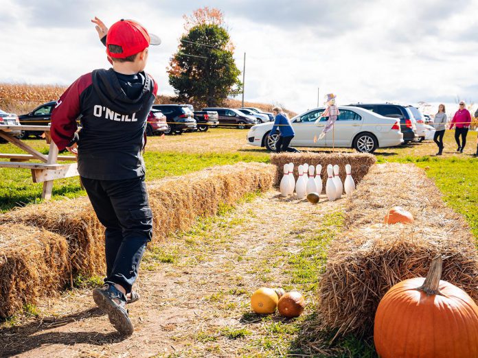 In addition to this year's carnival-themed corn maze, during the Kawartha Farmfest self-guided tour on October 12, 2024, McQuaid's Country Market will be hosting a variety of fun family-friendly activities including lawn games, pumpkin picking, scavenger hunts, bingo, and more. The farm stand will also be open and selling homemade preserves, maple syrup, cheese, eggs, and more. (Photo: Evan Aube Photography)