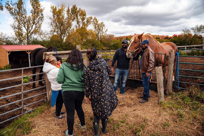 Fun for the whole family, Kawartha Farmfest on October 12, 2024 offers the chance for residents and visitors of Kawartha Lakes to explore a range of agricultural experiences and learning opportunities by taking a self-guided tour to more than a dozen stops across the region including eight farms. (Photo: Evan Aube Photography)