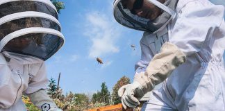 Three teenage beekeepers residing in the Kawarthas will represent Canada at the International Meeting for Young Beekeepers to be held in Dubai in the United Arab Emirates from December 18 to 21, 2024. The meeting, which aims to promote education and encourage the next generation of beekeepers, will feature a competition consisting of practical and academic disciplines. (Photo courtesy of Kawartha Junior Beekeepers)