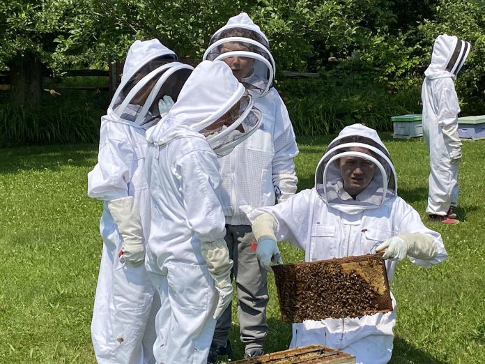 The Kawartha Junior Beekeepers was founded in 2017 by John MacFarlane and Lenka Petric to encourage a new generation of beekeepers. The in-depth program meets once per month for hands-on learning and special field trips for kids ages 8 to 12. MacFarlane and Petric, along with Northumberland beekeeper Dana Petrillo, will be accompanying teenage beekeepers Ben Marshall, Heidi Westbye, and Rebecca Wood to the International Meeting for Young Beekeepers in Dubai in the United Arab Emirates from December 18 to 21, 2024. (Photo courtesy of Kawartha Junior Beekeepers)