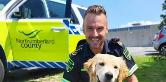 Ivy Joules, a one-year-old golden retriever, joined Northumberland Paramedics as a therapy dog in 2023. In addition to providing emotional support for paramedics and Northumberland County employees, Ivy accompanies parademics during resident visits as part of the community paramedicine program. A 2025 calendar featuring Ivy is available for advance orders, with money raised buying meals for residents in need. (Photo: Northumberland Paramedics)