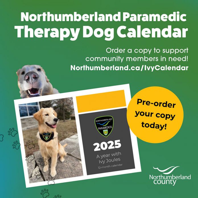 Northumberland Paramedics and Northumberland County have created a 2025 calendar starring therapy dog Ivy Joules. The calendar is a fundraiser to support community members in need. (Graphic: Northumberland County)