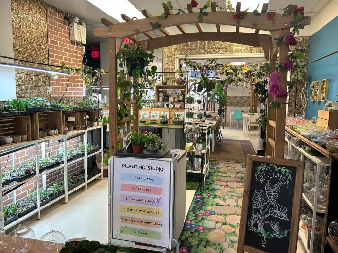 Located in downtown Peterborough, Tiny Greens Plant Shop is a family-run oasis for plant lovers in Peterborough. As well as being stocked with both common and rare plants, decorative pots and planting kits, and growing supplies and accessories, the shop also has a planting studio where you can get creative on your own with a planting project, joining a guided workshop, or booking the studio for a group. To give back to the community, owner Tina Bromley has recently launched a customizable fundraising model to support local organizations in their initiatives. (Photo: Tiny Greens)