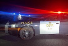 Police closed County Road 25 between County Road 35 and Concession Road 8 in the Municipality of Trent Hills following a two-vehicle collision just after midnight on October 20, 2024 that claimed the lives of both drivers. (Photo: Northumberland OPP)