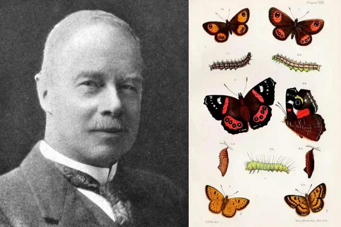 If you find daylight saving time annoying, you can blame New Zealand entomologist George Hudson. He first proposed "saving daylight" in 1895 so he could have more time during the day to collect insects. (Public domain photos)