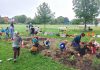 GreenUP worked to support the planting of over 1,500 trees across Peterborough in 2024, including helping students and staff plant a Little Forest at Keith Wightman Public School, one of four established at local schools this year to create vibrant spaces for learning and environmental stewardship. As a non-profit charity, current funding challenges have the potential to jeopardize GreenUP's many programs that promote sustainability, environmental education, and green living. GreenUP is calling on the community to help sustain a longstanding legacy of climate action impact in Peterborough and beyond. (Photo: Laura Keresztesi / GreenUP)