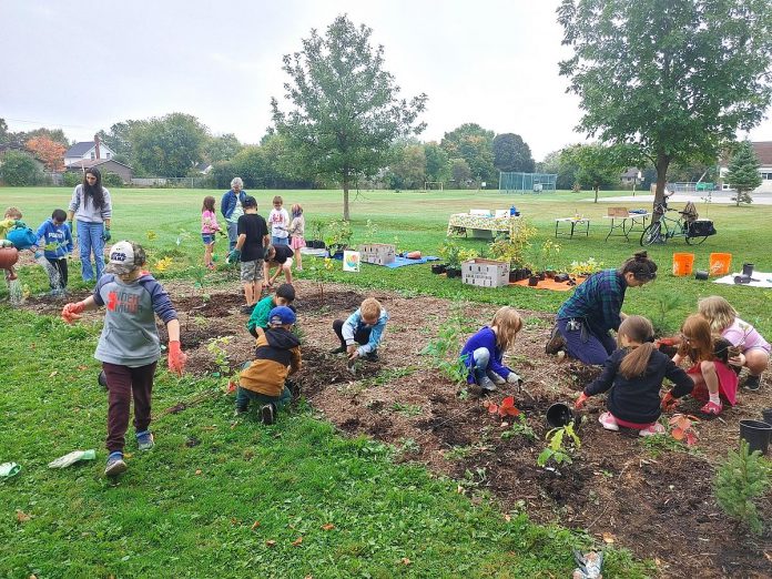 GreenUP worked to support the planting of over 1,500 trees across Peterborough in 2024, including helping students and staff plant a Little Forest at Keith Wightman Public School, one of four established at local schools this year to create vibrant spaces for learning and environmental stewardship. As a non-profit charity, current funding challenges have the potential to jeopardize GreenUP's many programs that promote sustainability, environmental education, and green living. GreenUP is calling on the community to help sustain a longstanding legacy of climate action impact in Peterborough and beyond. (Photo: Laura Keresztesi / GreenUP)