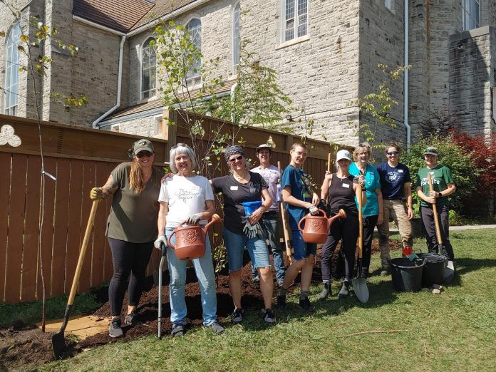 Volunteers in front of a row of birch and black cherry trees along the fence at Trinity Community Centre in Peterborough on September 10, 2024. GreenUP, along with Trinity Community Centre guests and One City Peterborough staff, devised a planting plan to manage storm water, increase food security, and create shade. It was one of several projects that led to the planting of more than 1,500 trees this year in Peterborough. (Photo: Laura Keresztesi / GreenUP)