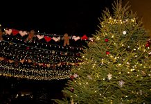 Communities across the Kawarthas region will be gathering for festive and family-fun celebrations in the weeks leading up to Christmas. One such festivity will be Port Hope's annual Candlelight Festival, being held from November 29, 2024 to January 2, 2025. (Photo: Ken Solilo)