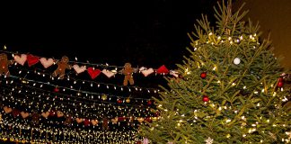 Communities across the Kawarthas region will be gathering for festive and family-fun celebrations in the weeks leading up to Christmas. One such festivity will be Port Hope's annual Candlelight Festival, being held from November 29, 2024 to January 2, 2025. (Photo: Ken Solilo)