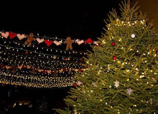 Communities across the Kawarthas region will be gathering for festive and family-fun celebrations in the weeks leading up to Christmas. One such festivity will be Port Hope's annual Candlelight Festival, being held from November 29, 2024 to January 2, 2025. (Photo: Ken Solilo)