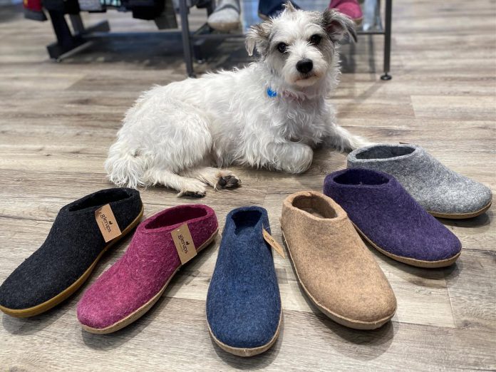 Shop dog Luna poses with a selection of Glerups slippers, a highly sought-after Danish brand and one of the top gifts to be found at Grady's Feet Essentials in Peterborough this holiday season. The store stocks a line-up of the brand's wool-lined slippers in slip-on, boot, and shoe styles, all in a range of both neutral and bright colours. (Photo courtesy of Grady's Feet Essentials)