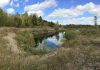 Located near Crowley Line and Rosa Landing Road in Otonabee-South Monaghan Township and managed by Otonabee Conservation, the Mikinaak Conservation Area is a former gravel pit that has naturally regenerated since aggregate extraction stopped in the late 1990s, including functional wetlands that provide homes to a variety of flora and fauna, especially nesting turtles. Otonabee Conservation worked with Hiawatha First Nation to choose the name for the new conservation area, with "mikinaak" meaning turtle in the Mississauga Ojibwe language. The site will be open to the public for recreational uses in the future. (Photo: Otonabee Conservation)