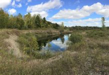 Located near Crowley Line and Rosa Landing Road in Otonabee-South Monaghan Township and managed by Otonabee Conservation, the Mikinaak Conservation Area is a former gravel pit that has naturally regenerated since aggregate extraction stopped in the late 1990s, including functional wetlands that provide homes to a variety of flora and fauna, especially nesting turtles. Otonabee Conservation worked with Hiawatha First Nation to choose the name for the new conservation area, with "mikinaak" meaning turtle in the Mississauga Ojibwe language. The site will be open to the public for recreational uses in the future. (Photo: Otonabee Conservation)